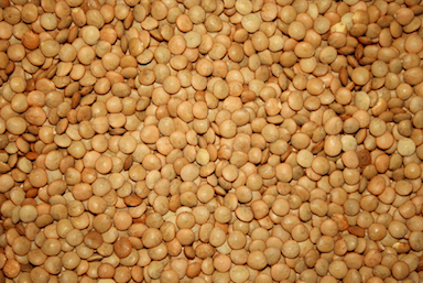 Screen Shot 2016-12-16 at 10.05.01 PM.png