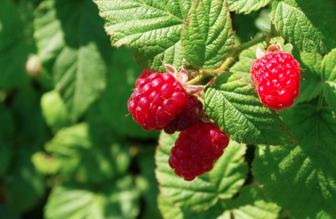 Screen Shot 2016-12-16 at 10.21.31 PM.png