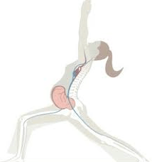 Screen Shot 2016-12-16 at 11.42.12 PM.png